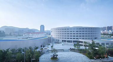 金家岭学校